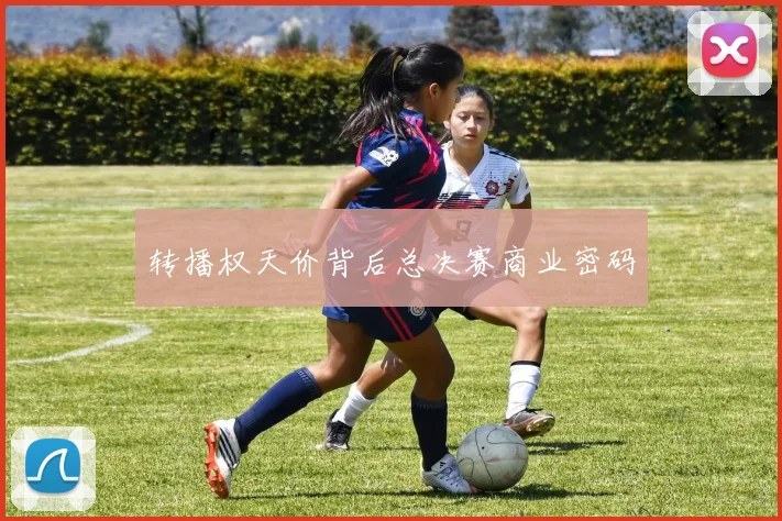 转播权天价背后总决赛商业密码