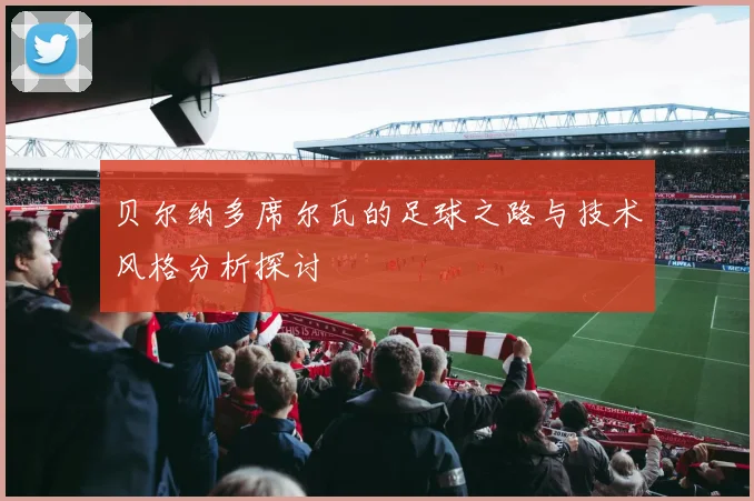 贝尔纳多席尔瓦的足球之路与技术风格分析探讨
