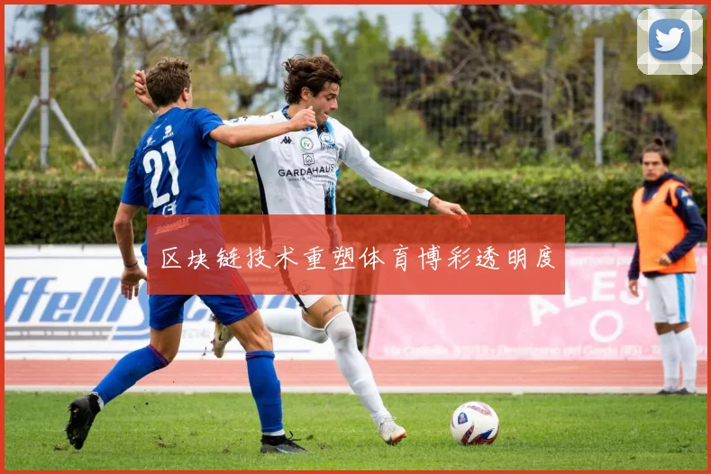 区块链技术重塑体育博彩透明度