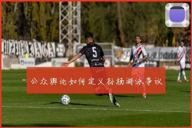 公众舆论如何定义孙杨游泳争议